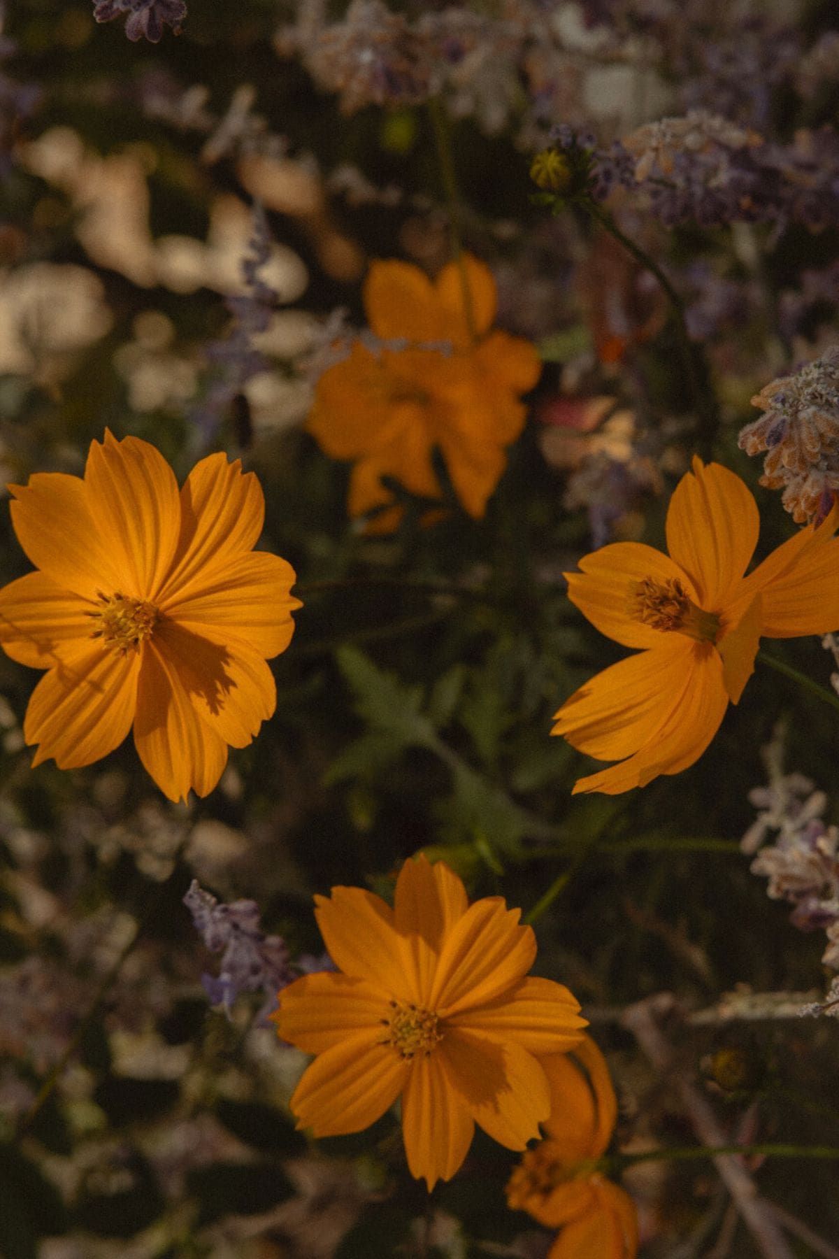 Bioaroma Senses Workshop