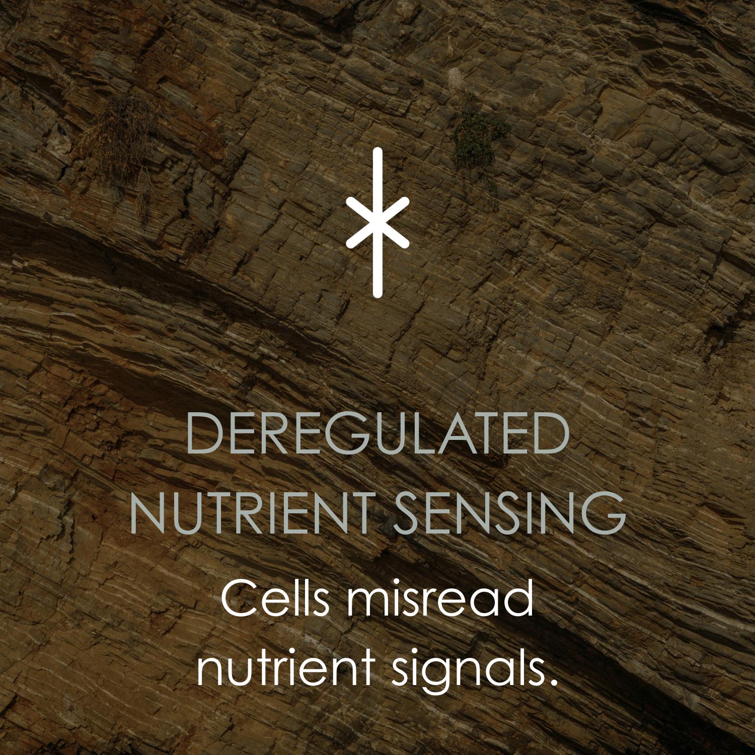 Deregulated Nutrient Sensing