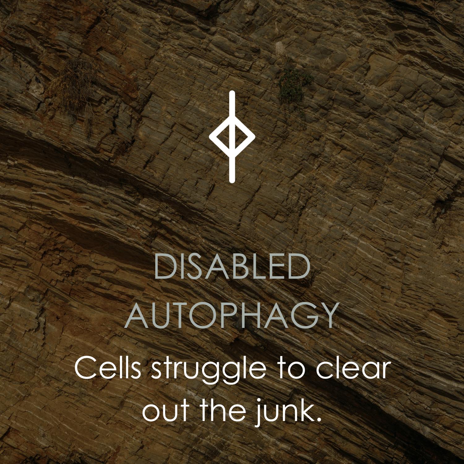 Disabled Autophagy