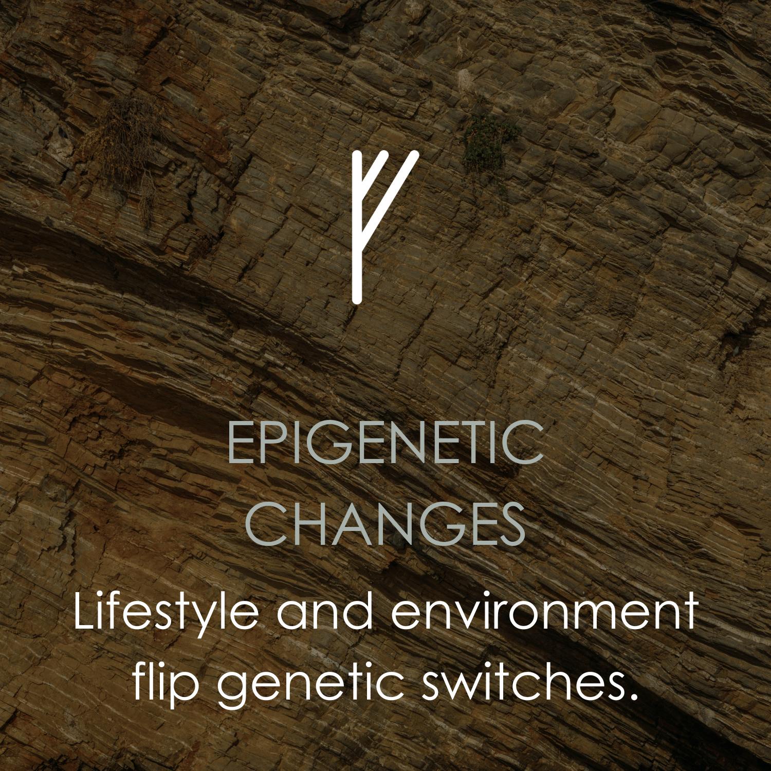 Epigenetic Changes