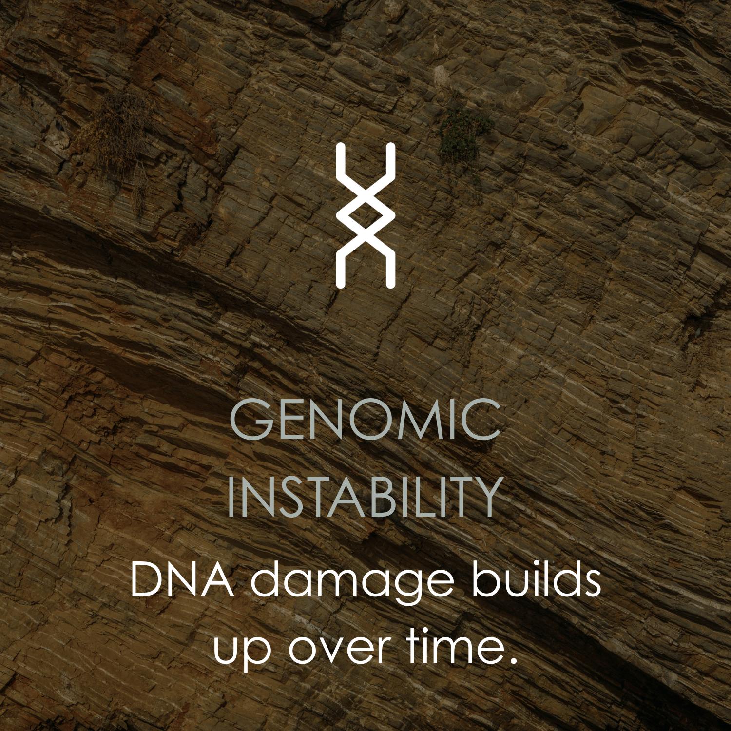 Genomic Instability Nao Method