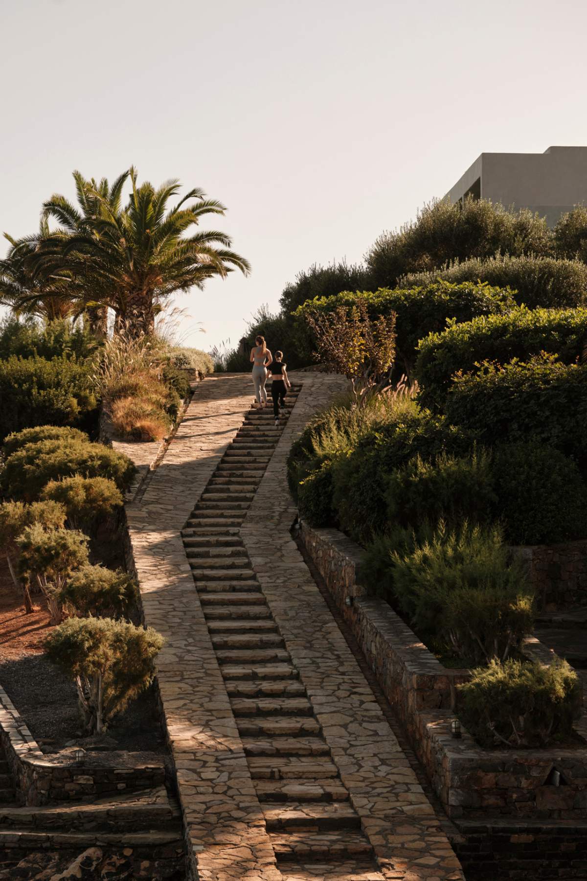 Minos Palace Resort Outdoors